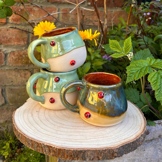 Ladybird Mug - Moss