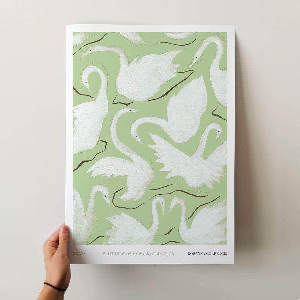 A3 - Swans Print