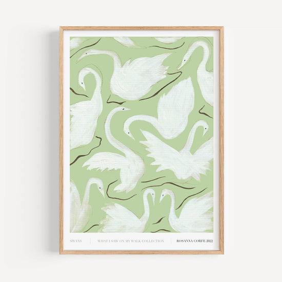 A3 - Swans Print