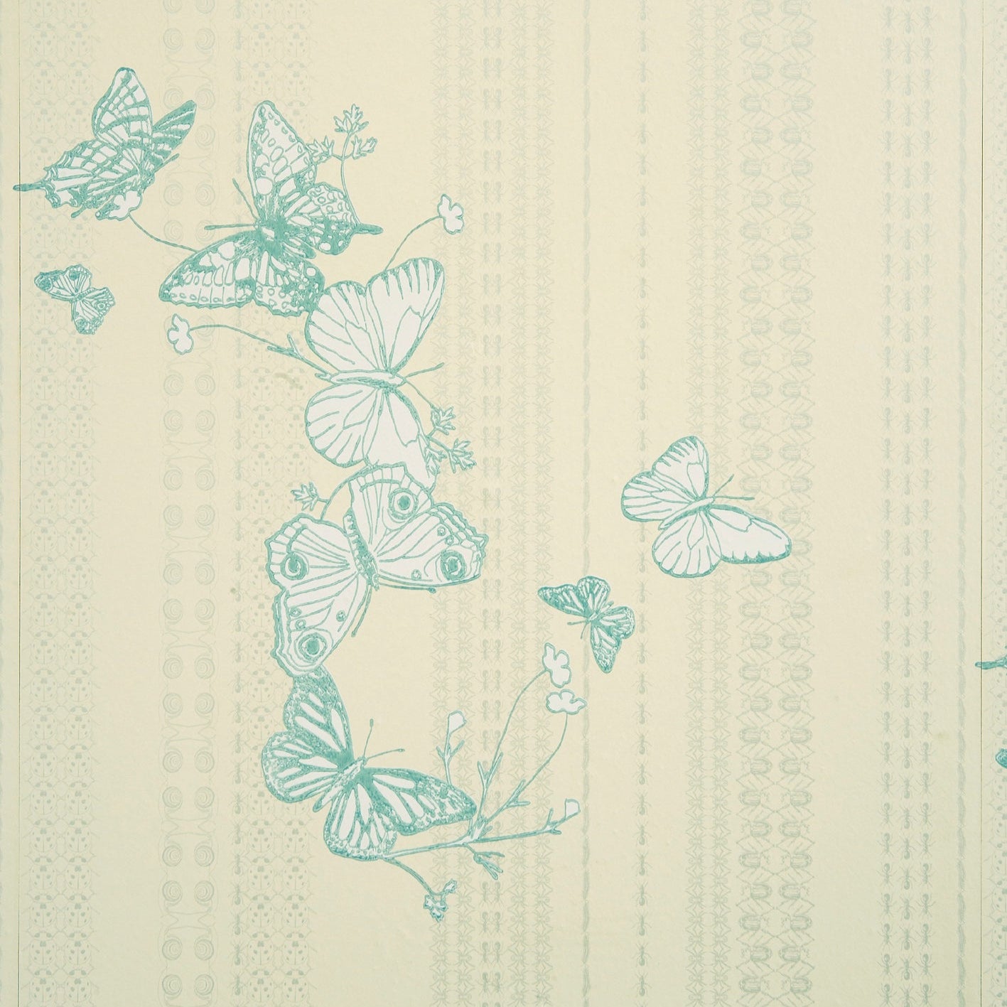 Bugs & Butterflies Wallpaper