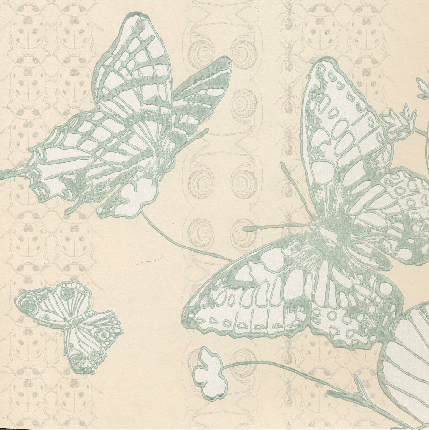 Bugs & Butterflies Wallpaper