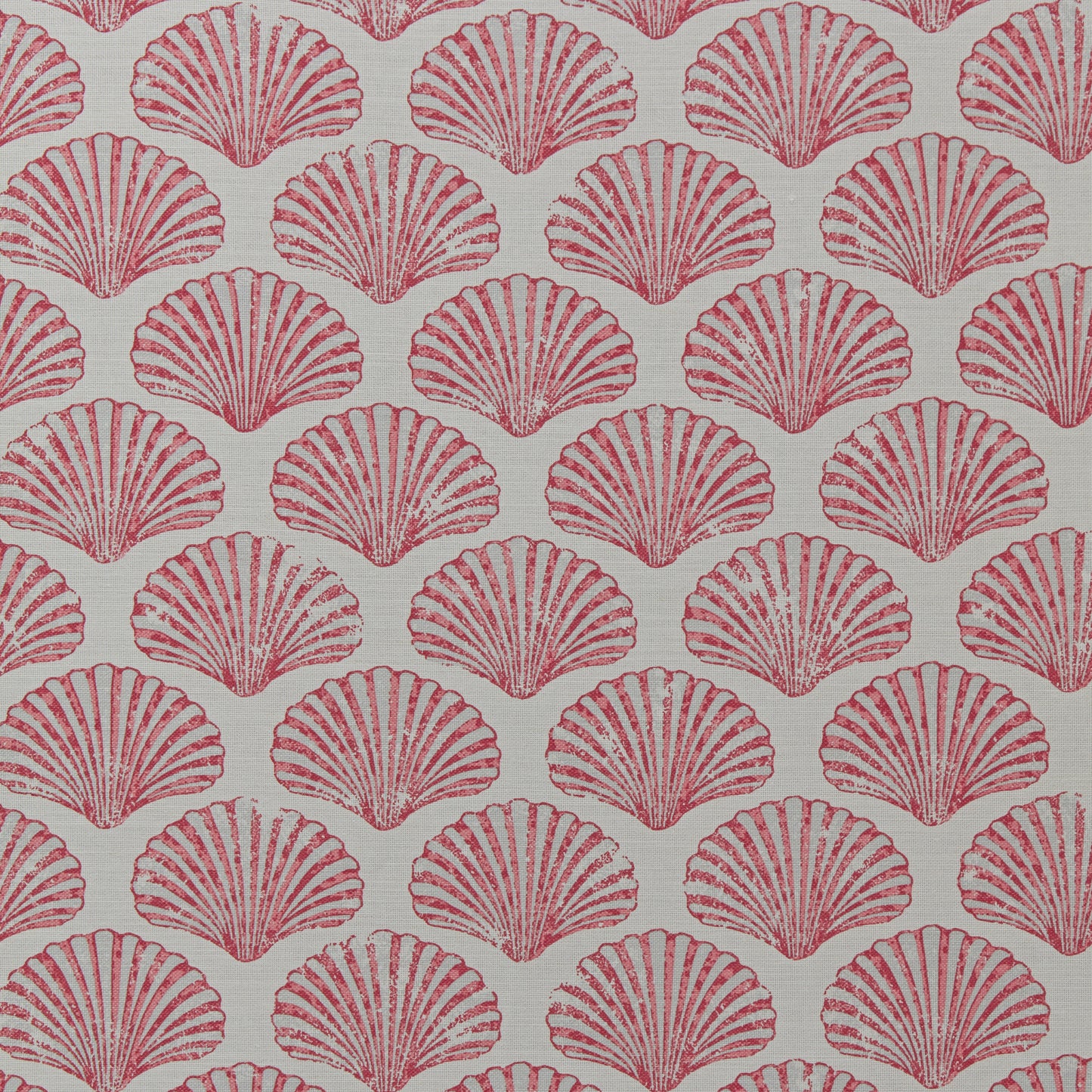 Scallop Shell Fabric