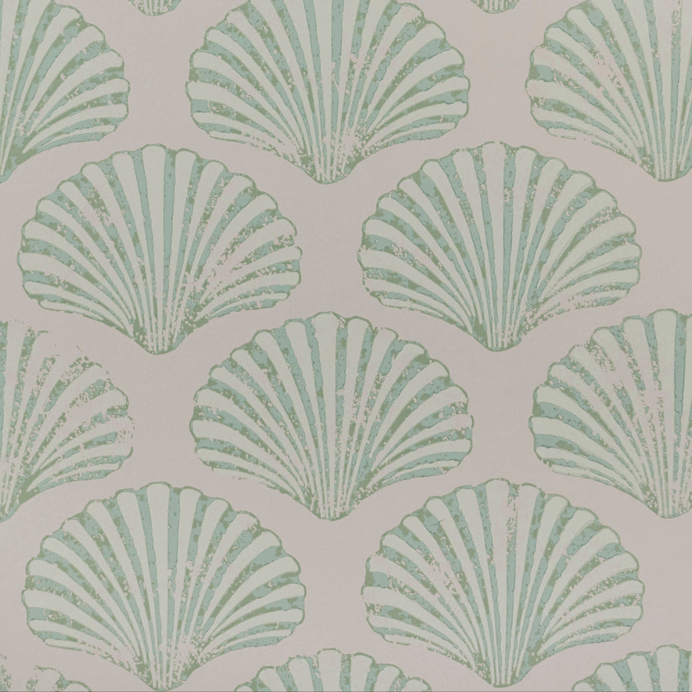 Scallop Shell Wallpaper