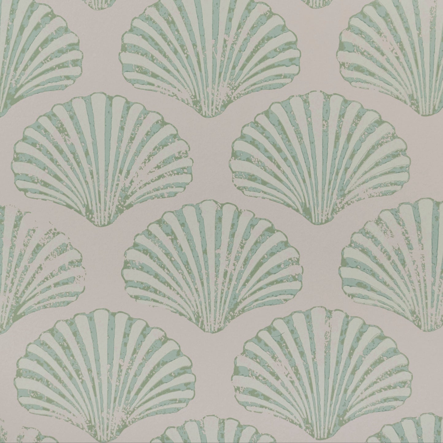 Scallop Shell Wallpaper