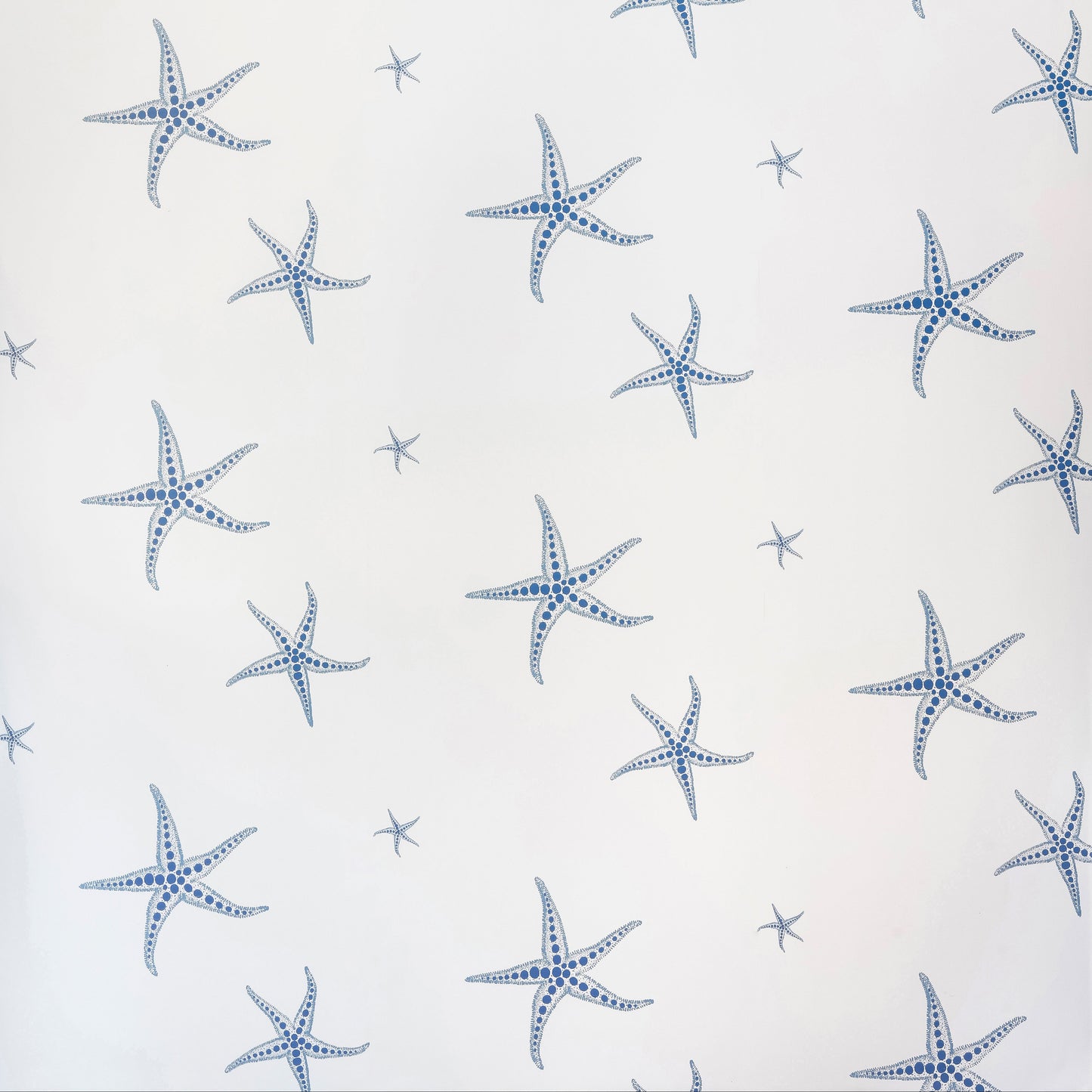 Starfish Wallpaper