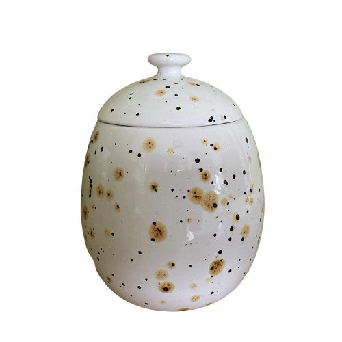 Cookie/Biscuit Jar Canister Confetti Glaze