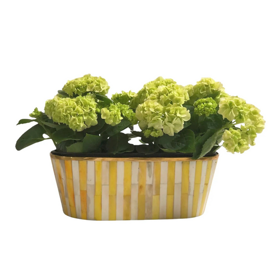 Oblong Inlay Planter - Large - Mustard Yellow - Striped