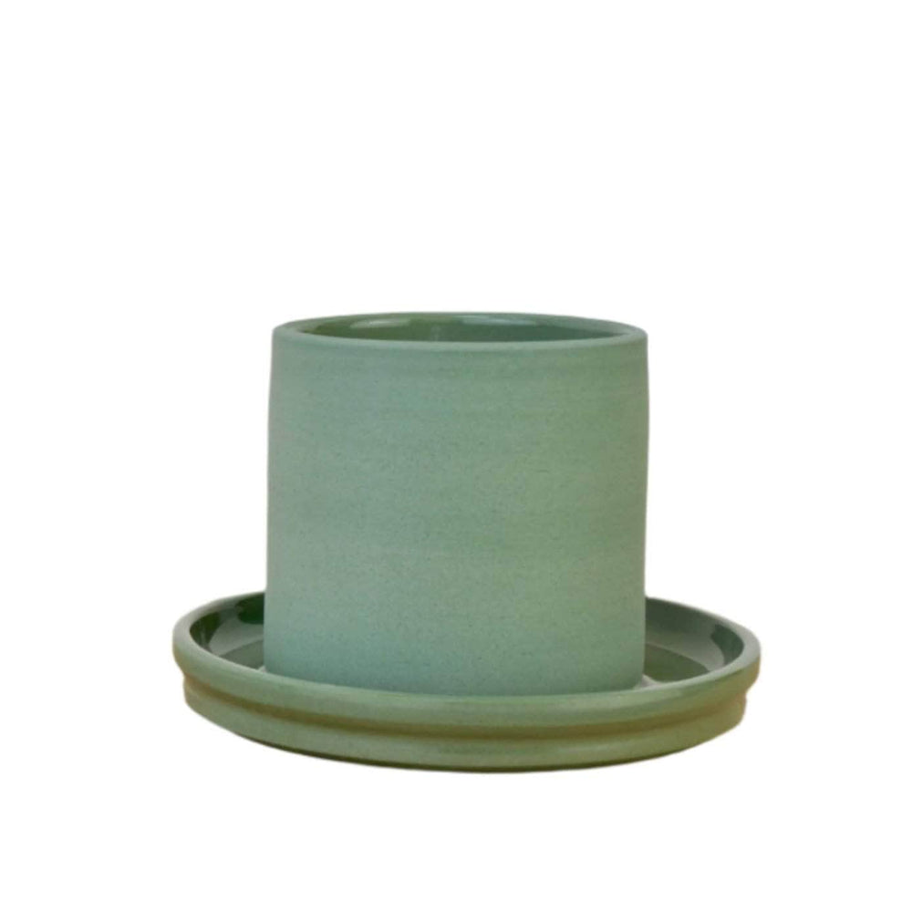 Tumbler and Saucer Set, Sage