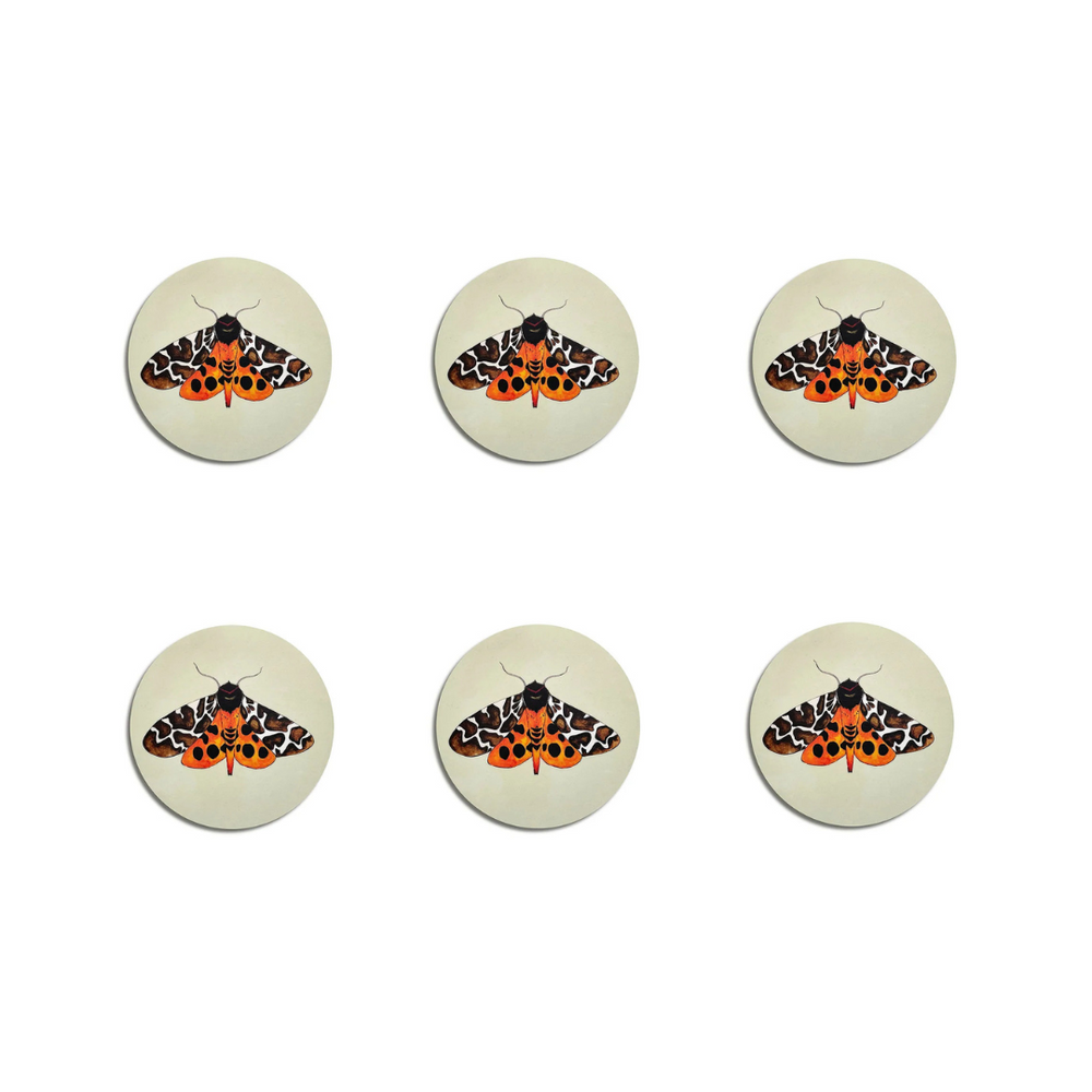 Set of 6 Tiger Moth Coasters