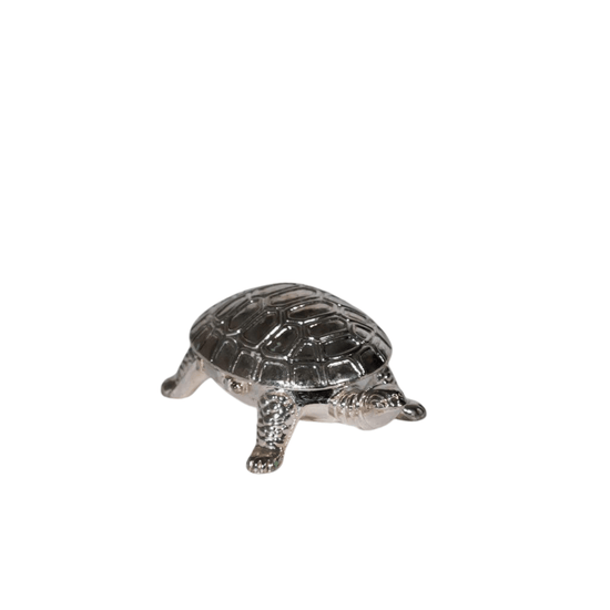 Vintage Turtle Pill Box