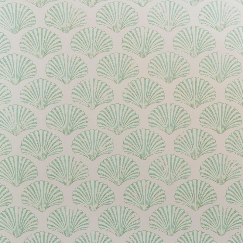 Scallop Shell Wallpaper