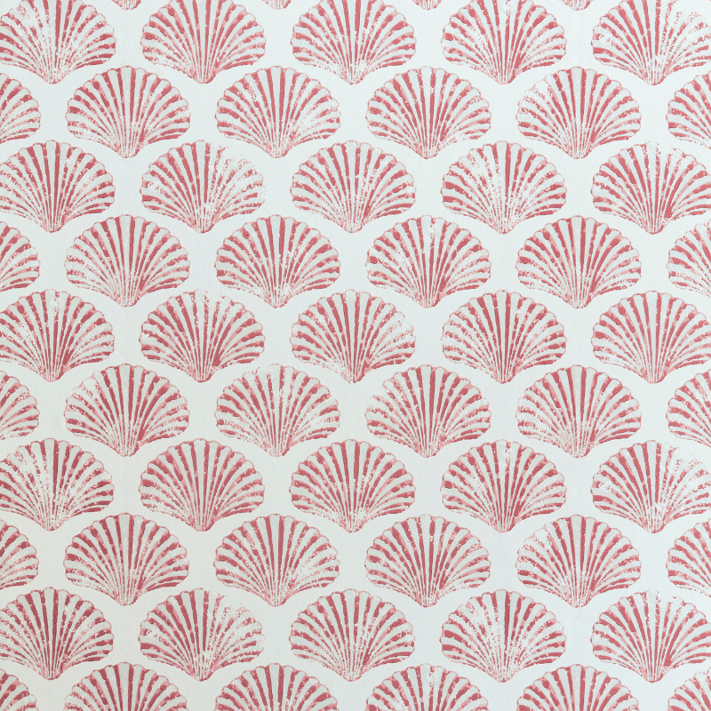 Scallop Shell Wallpaper