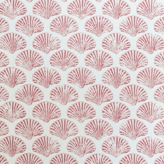 Scallop Shell Wallpaper