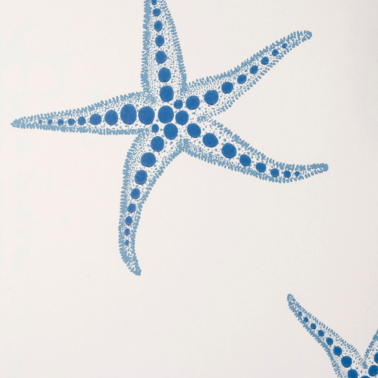 Starfish Wallpaper