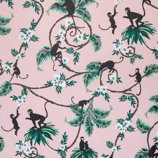 Tabitha Webb for Barneby Gates Wallpaper- Monkey