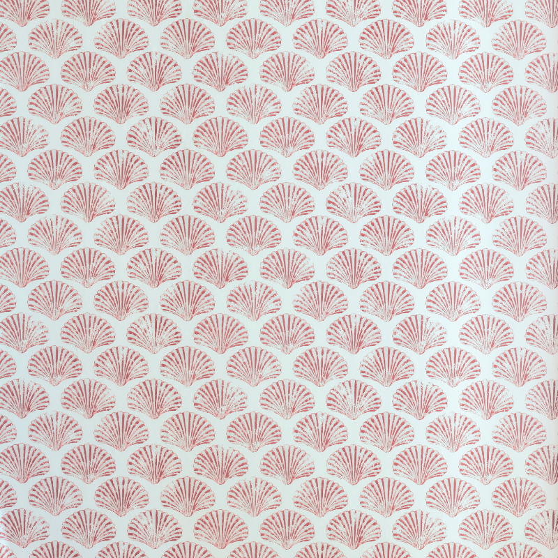 Scallop Shell Wallpaper