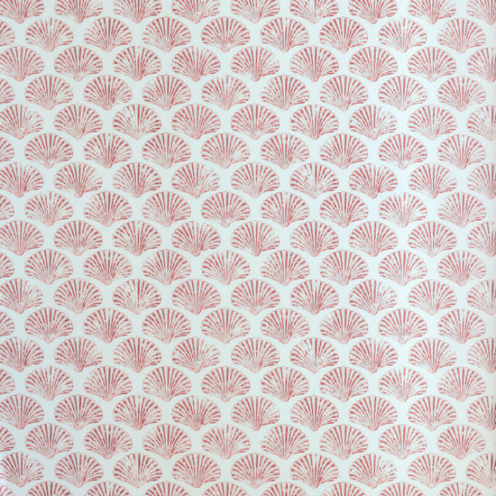 Scallop Shell Wallpaper