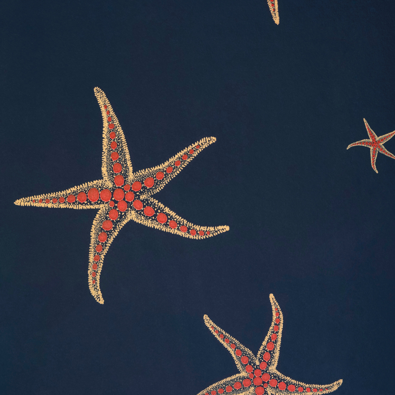 Starfish Wallpaper