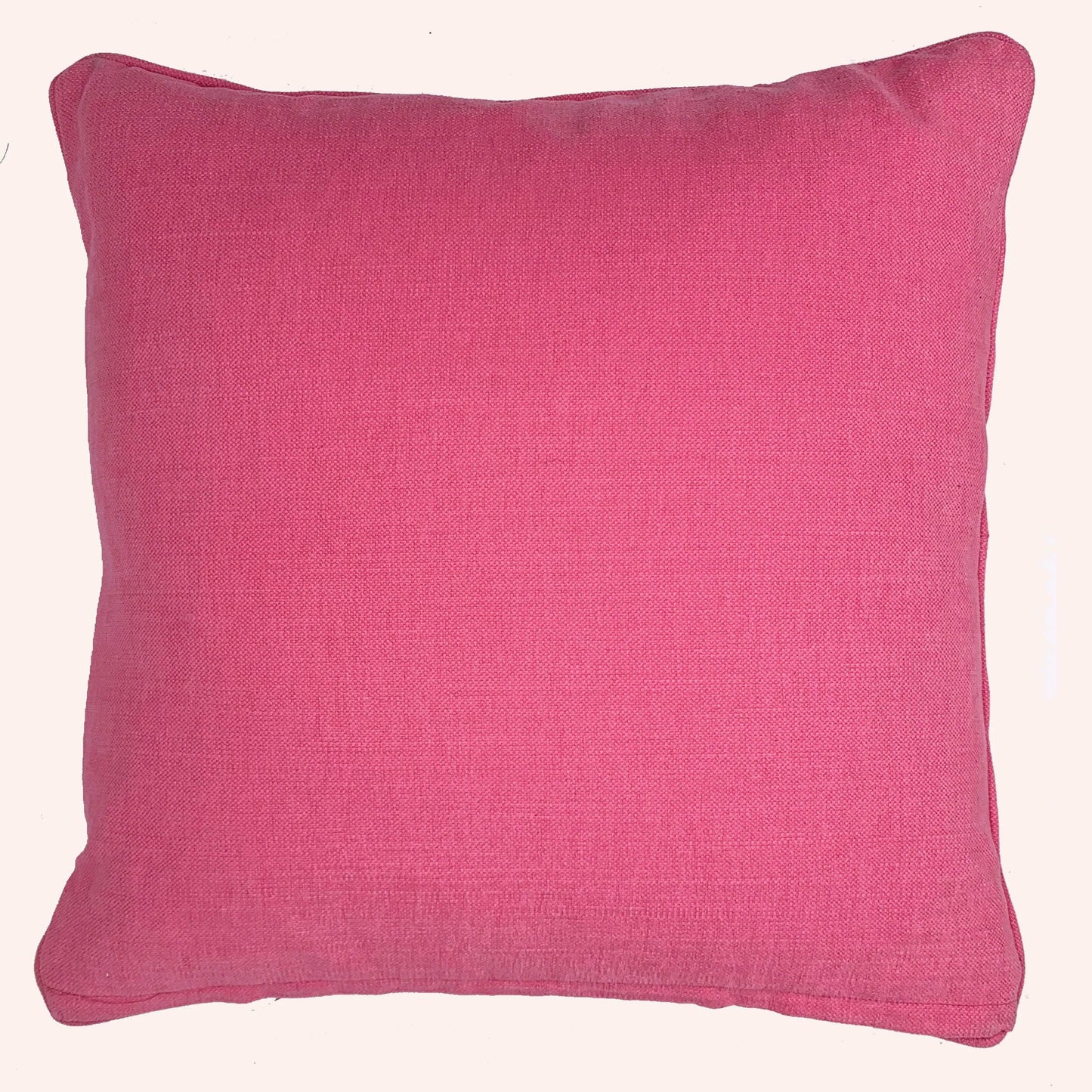 Aguayo Pink Cushion