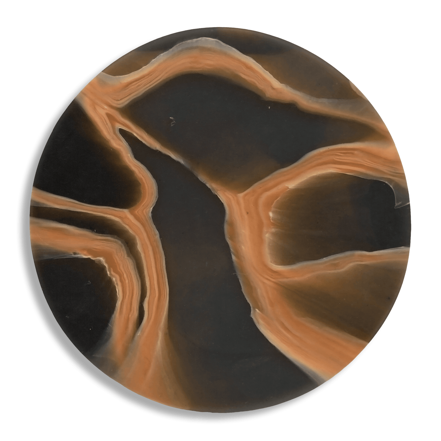 Recycled Plastic Coaster Mycelium Wrinkled Peach