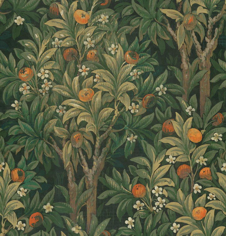 Orange Blossoms - Grove Greens - Wallpaper