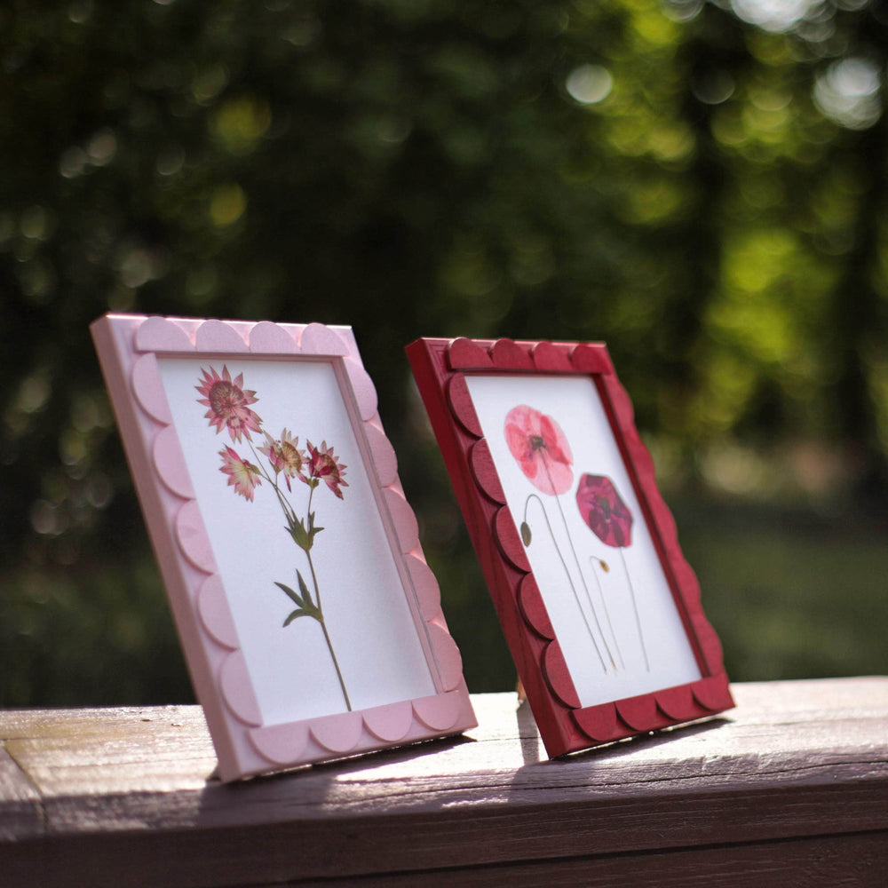 Peony Stained Scallop Frame