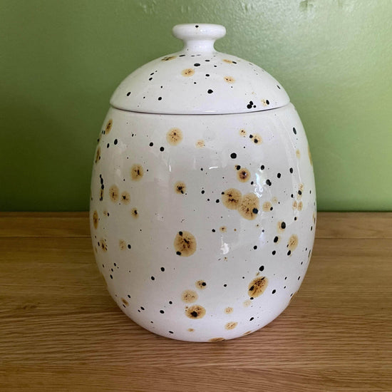 Cookie/Biscuit Jar Canister Confetti Glaze