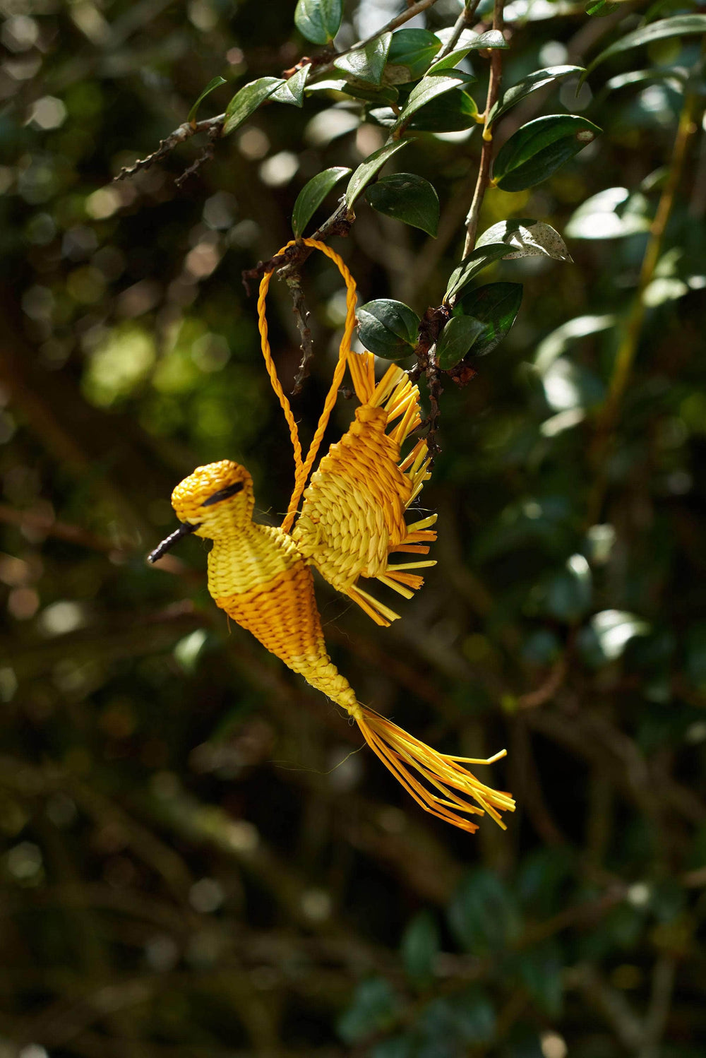 Palmito Woven Hummingbird Baubles (Set of 4)