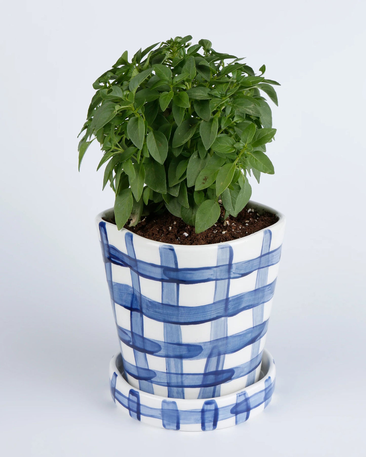 Vichy Blue Planter