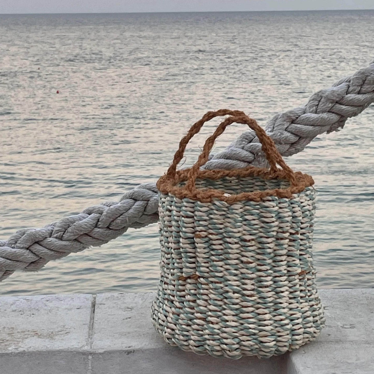 Fisculina - Woven Hand Bag