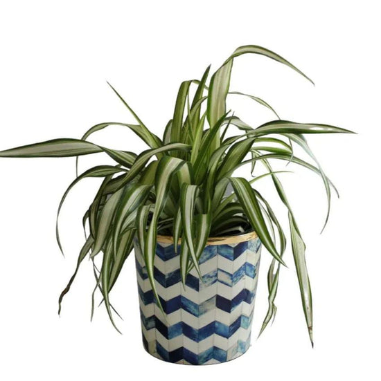 Round Inlay Planter Medium - Navy Blue Chevron