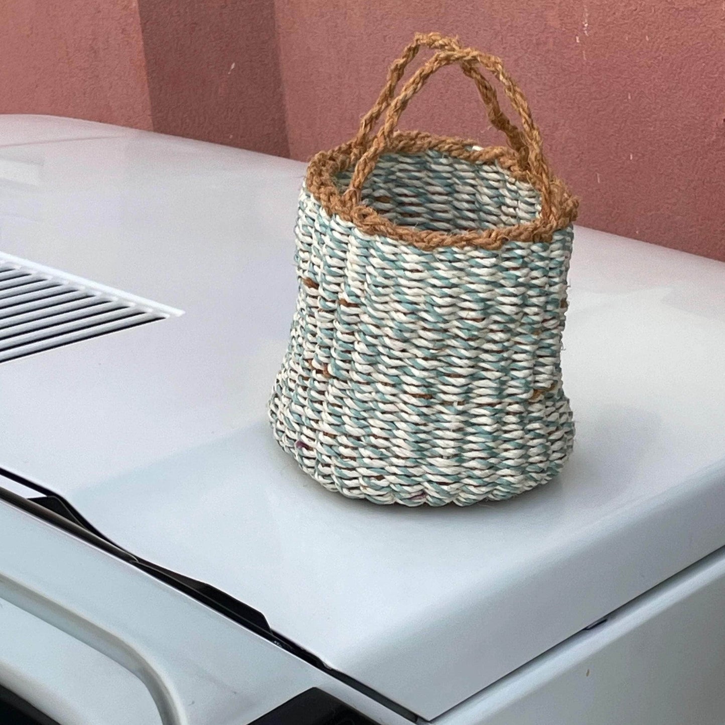 Fisculina - Woven Hand Bag