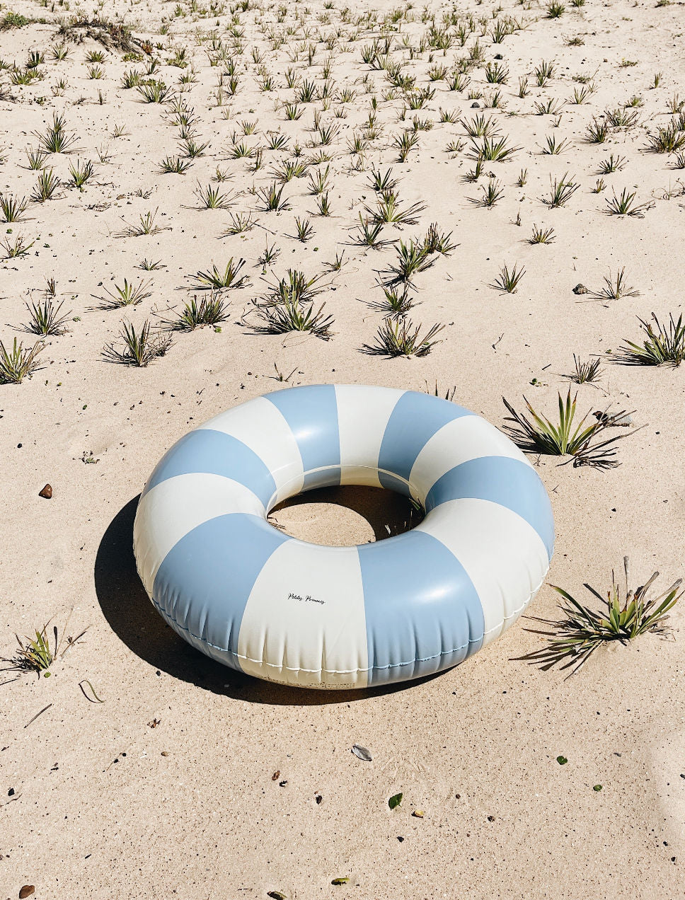 Nordic Swim Ring - Pool Float