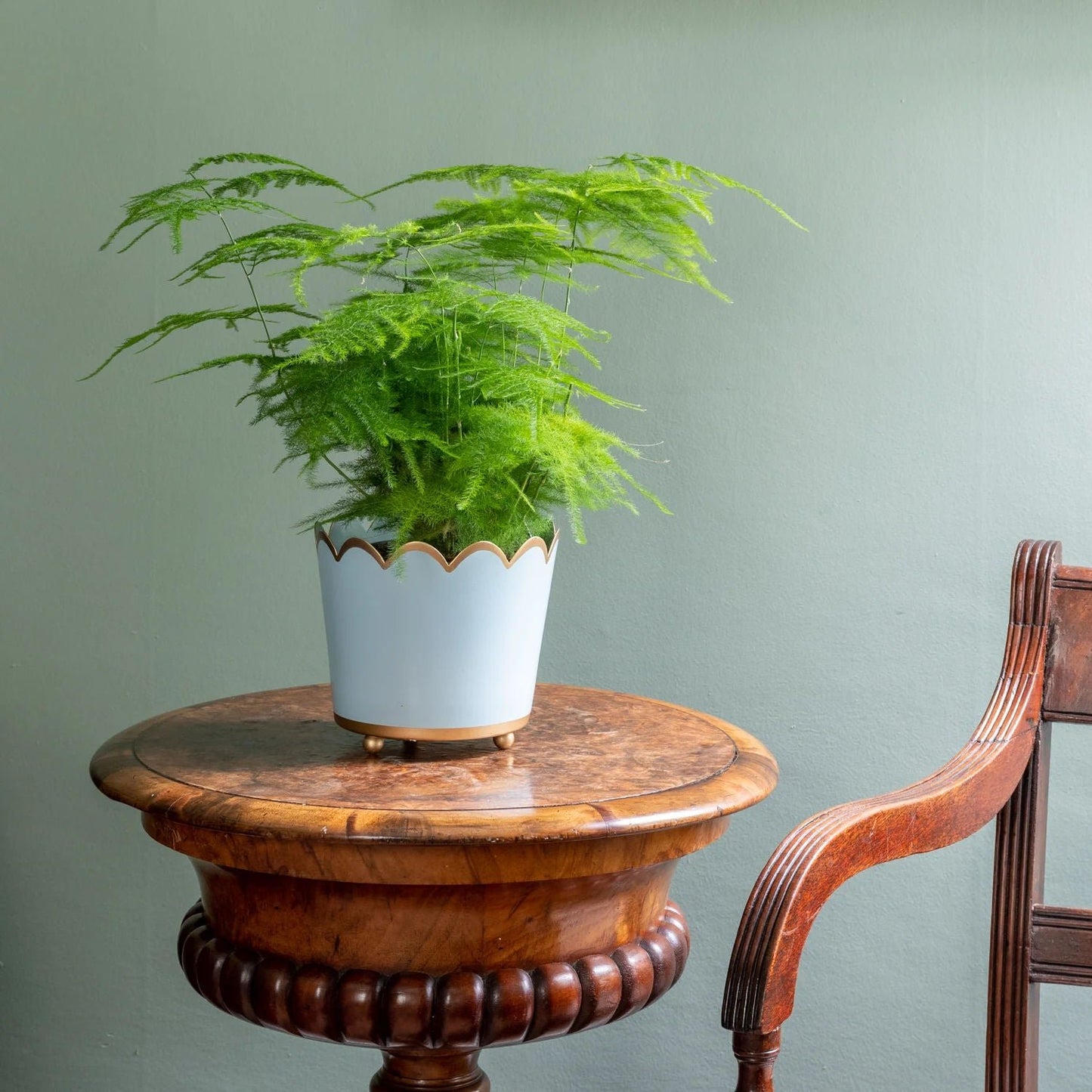 Scalloped Planter Small - Powder Blue