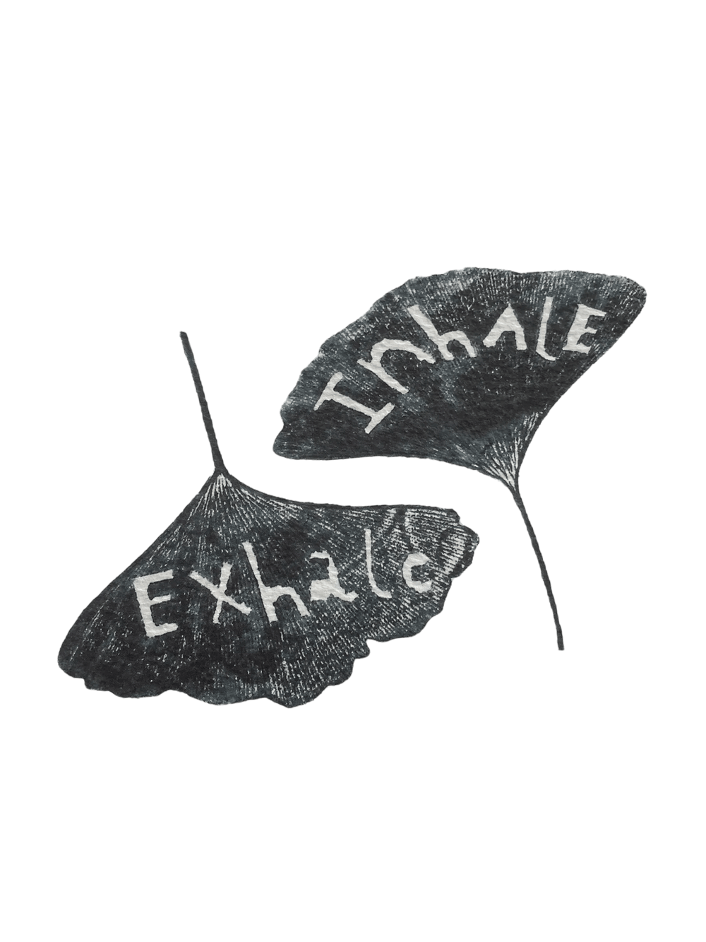 Limited Edition Inhale Exhale Gingko Leaf Print