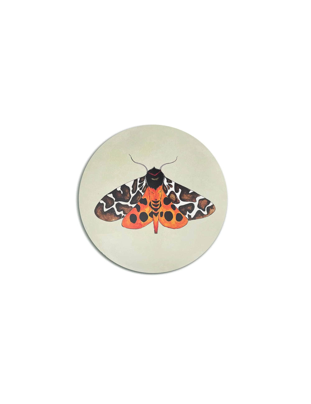 Tiger Moth Coaster