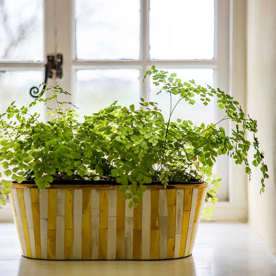 Oblong Inlay Planter - Large - Mustard Yellow - Striped