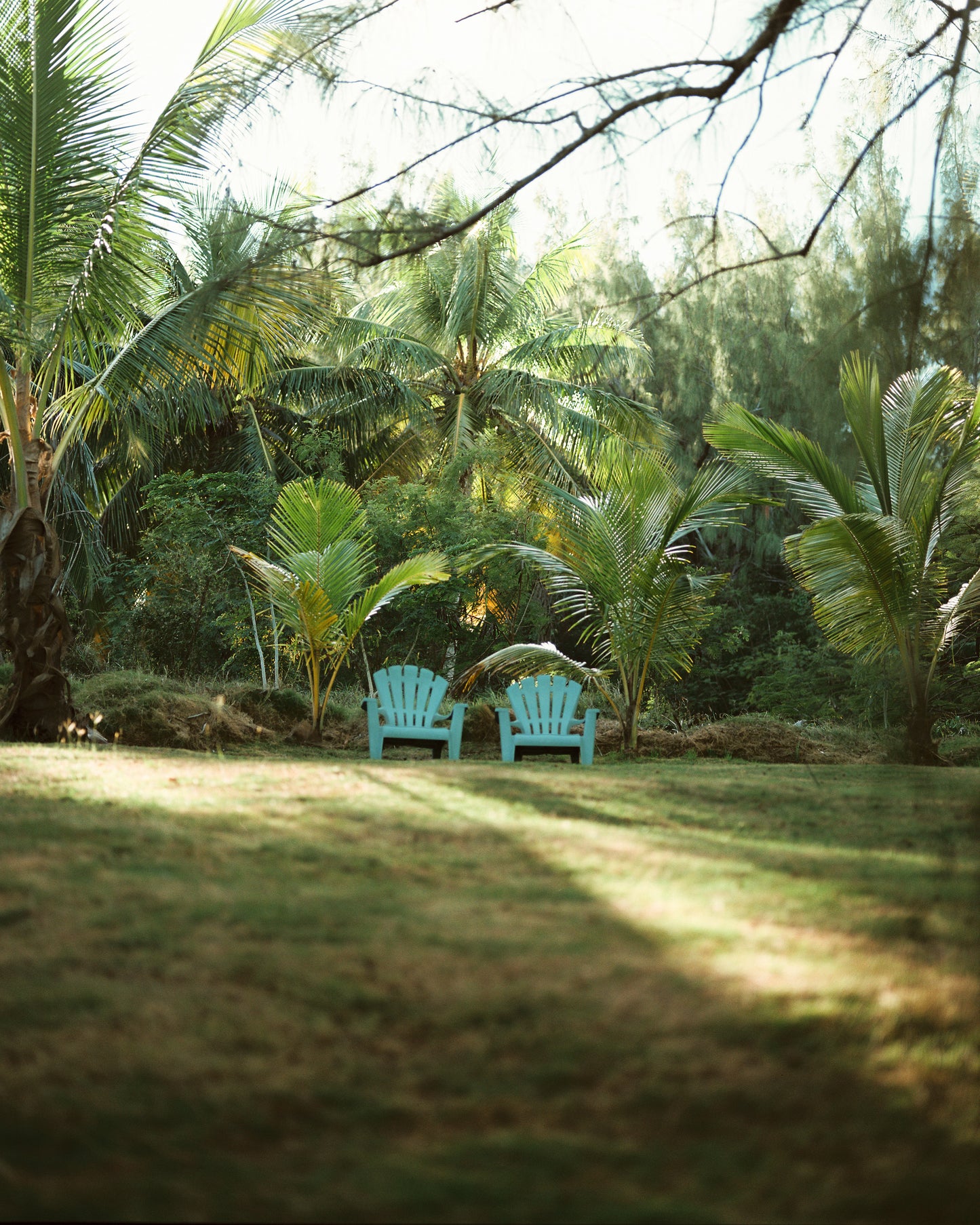 Two Chairs Print