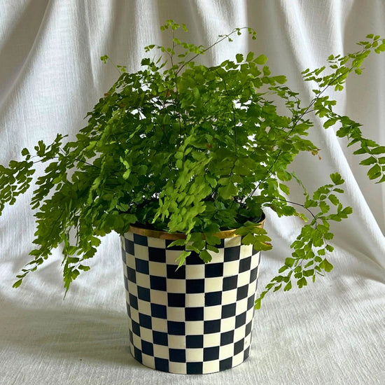 Round Inlay Planter Medium - Ebony Black - Chequered