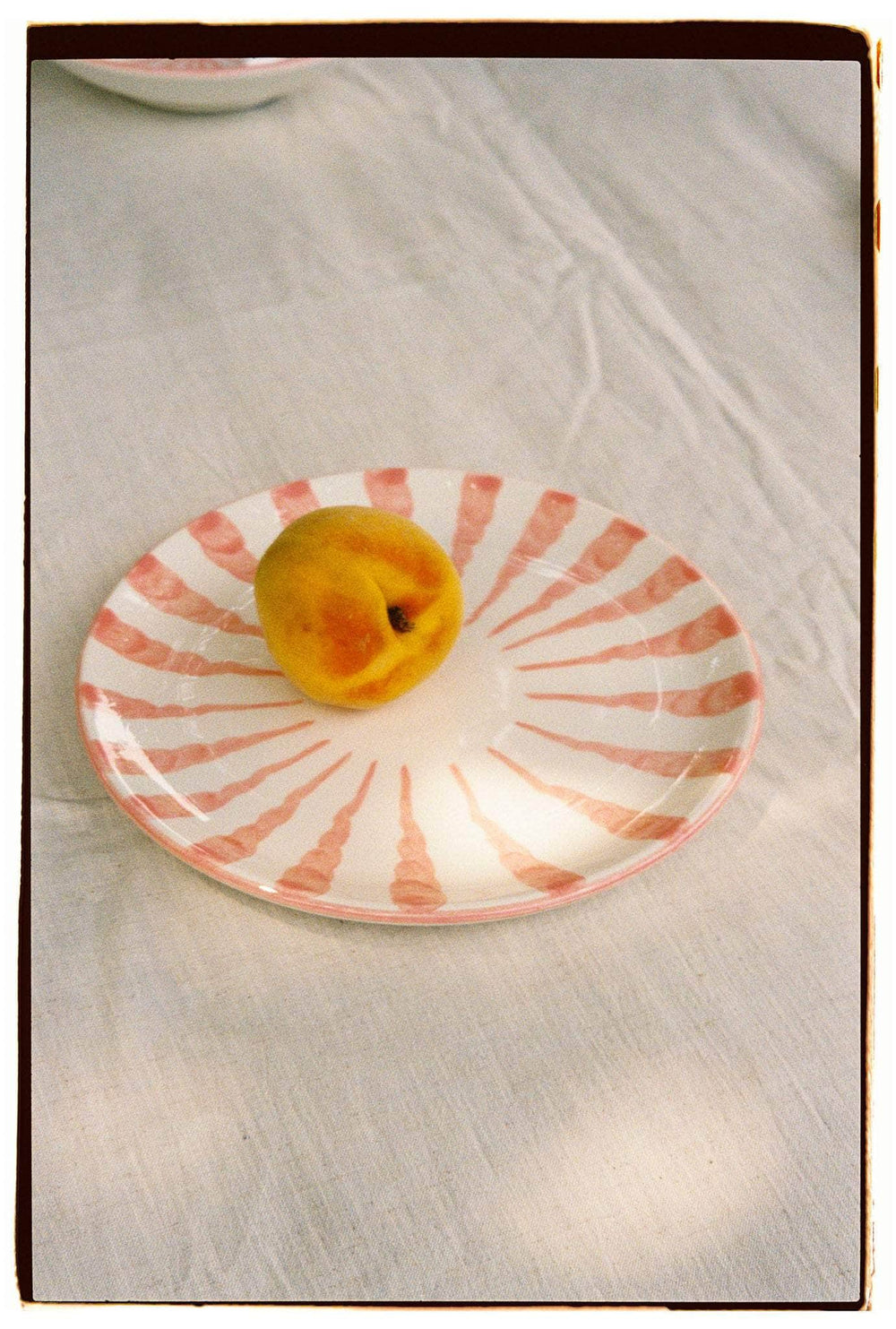 Wave Dinner Plate - Blush