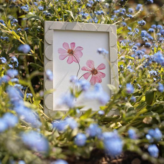 Light Pistachio Stained Scallop Frame