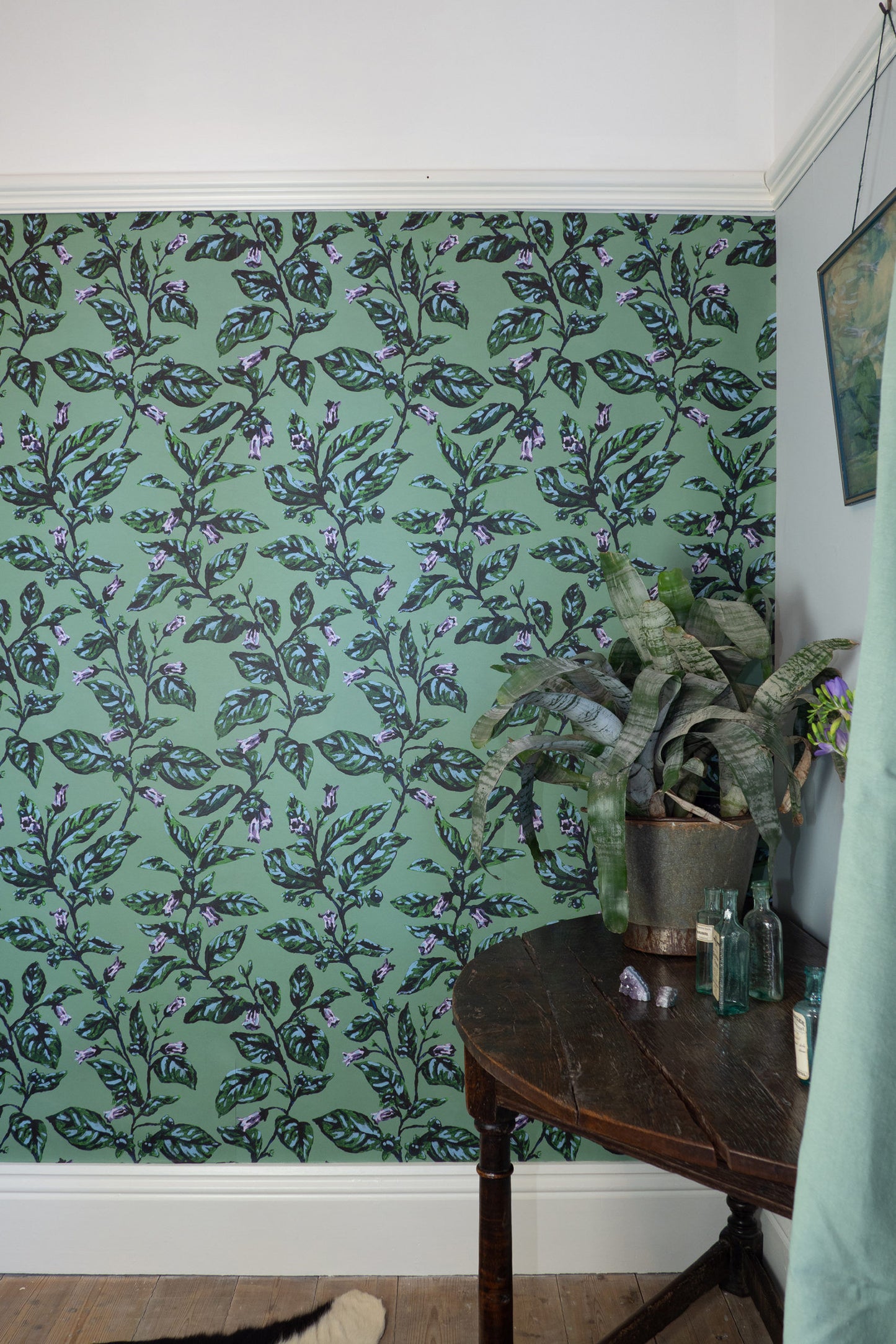 Belladonna Plaster Wallpaper