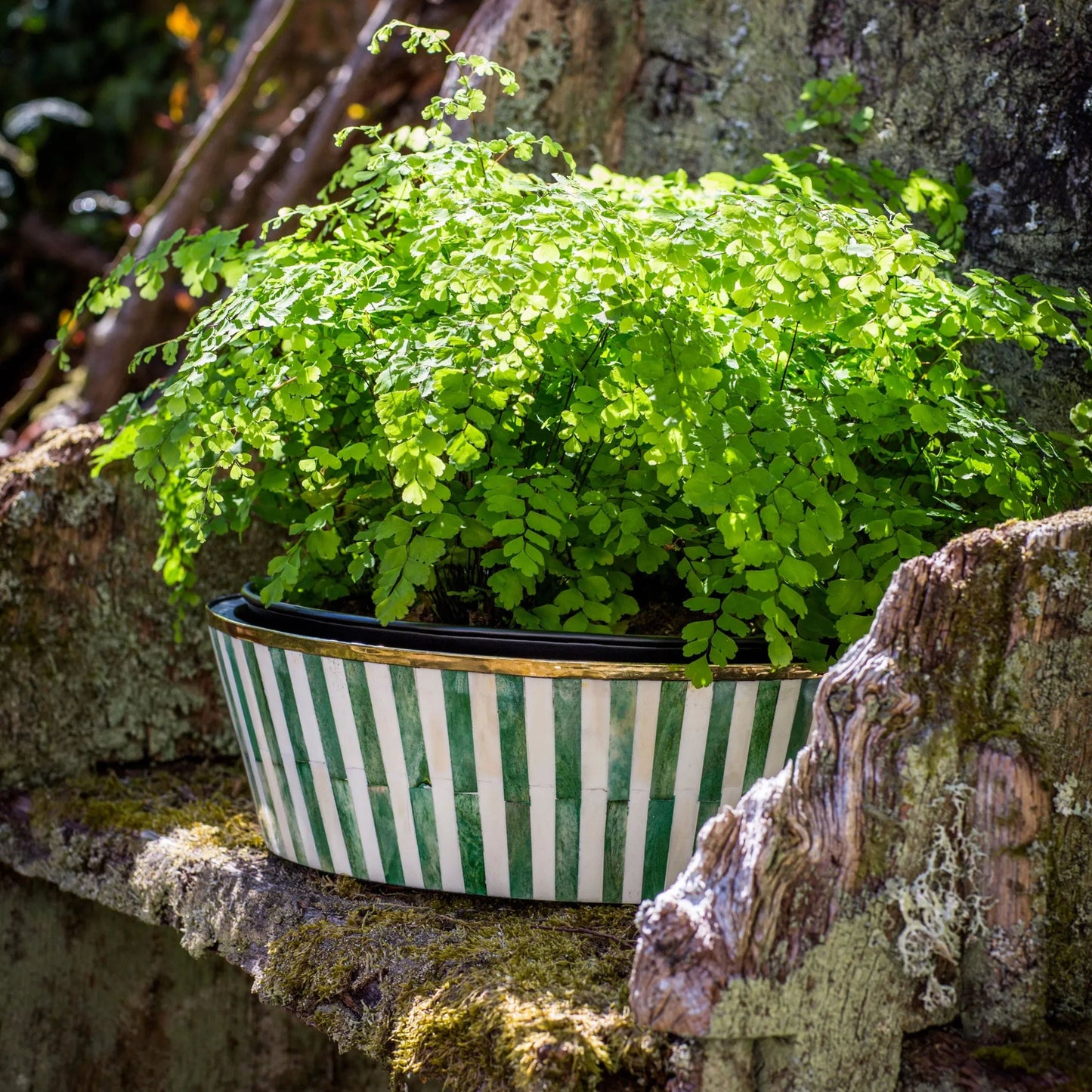 Round Inlay Planter Large - Forest Green - Striped