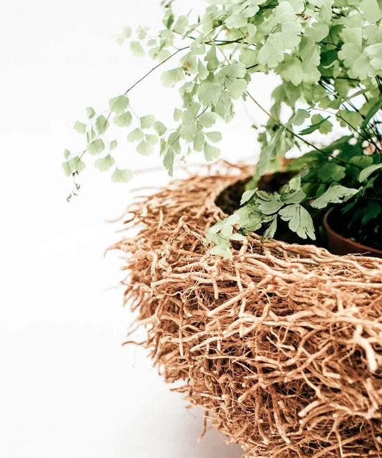 Vetiver Baskets