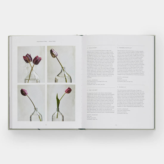 The Tulip Garden: Growing and Collecting Species Book