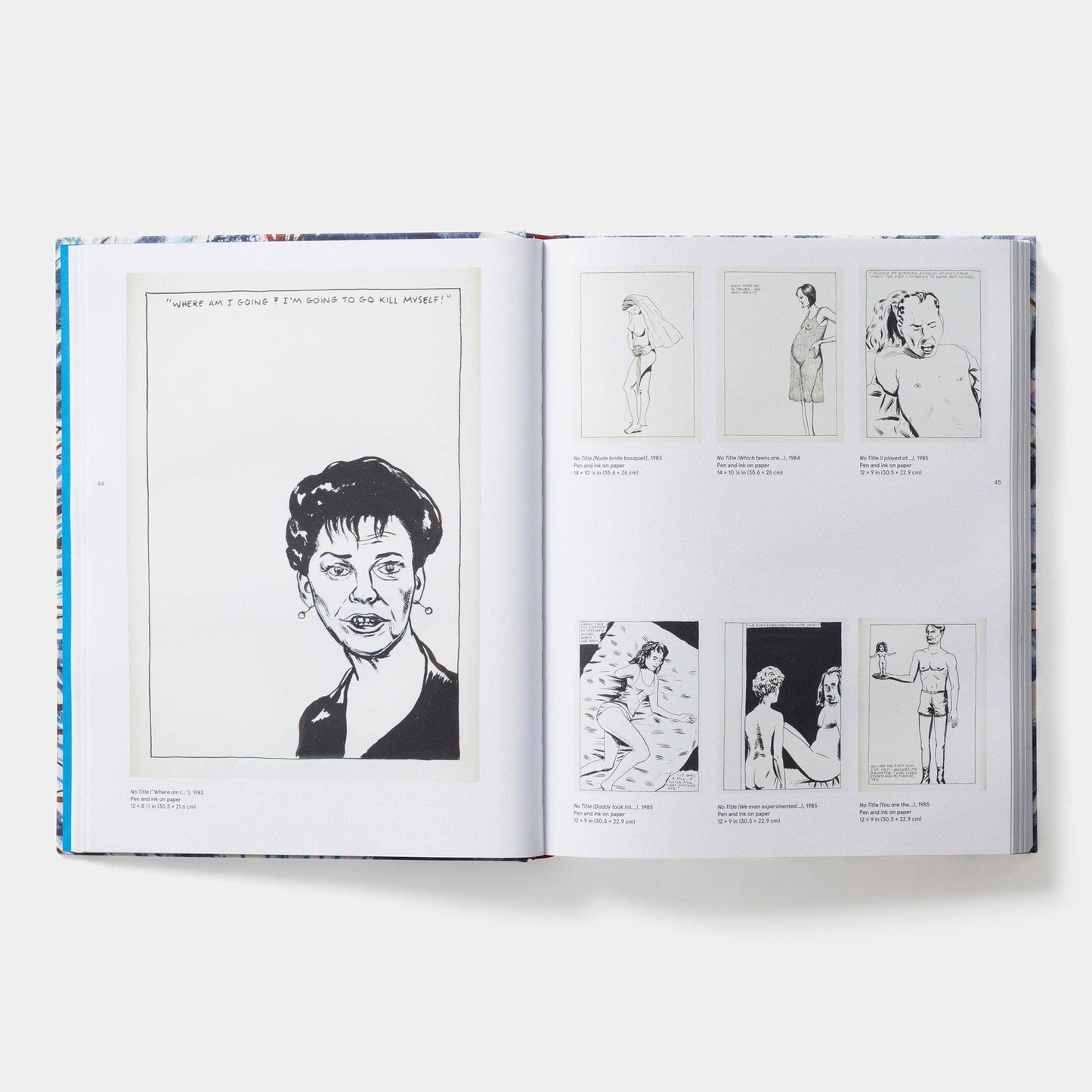 Raymond Pettibon: A Pen of All Work Book