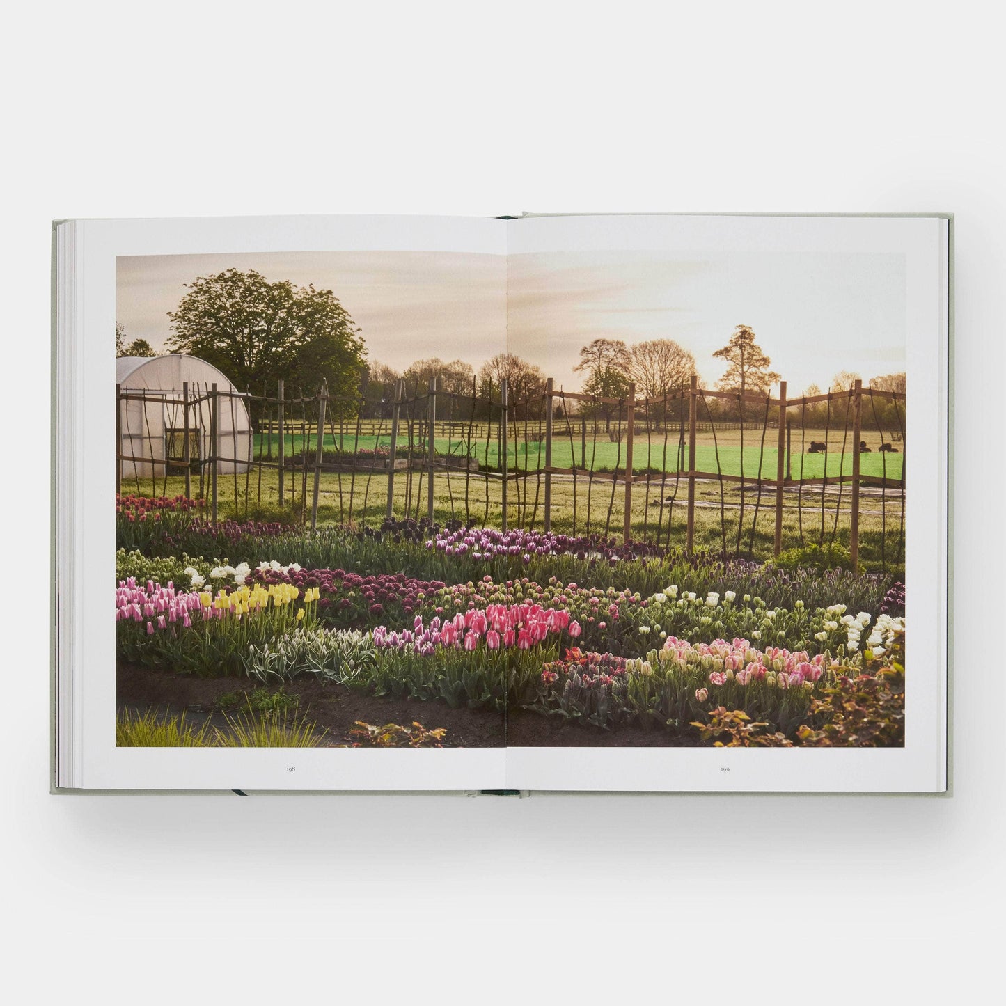 The Tulip Garden: Growing and Collecting Species Book