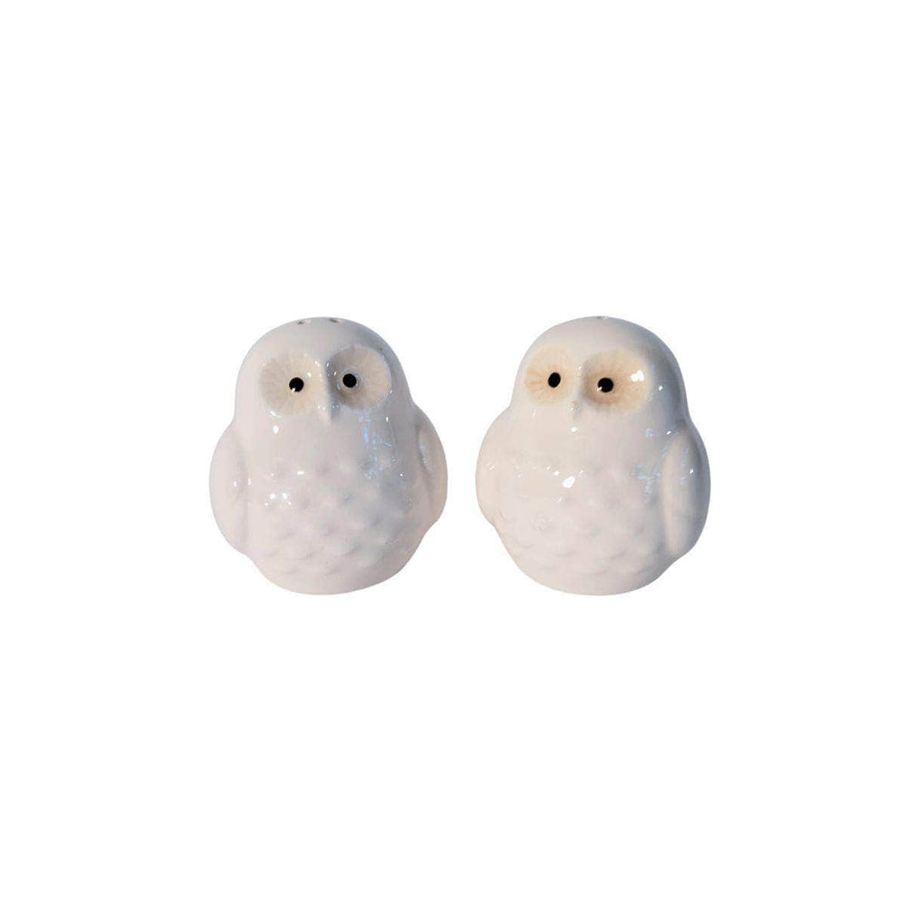 Owls Shaped Salt and Pepper Shaker Set