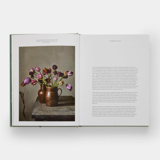 The Tulip Garden: Growing and Collecting Species Book