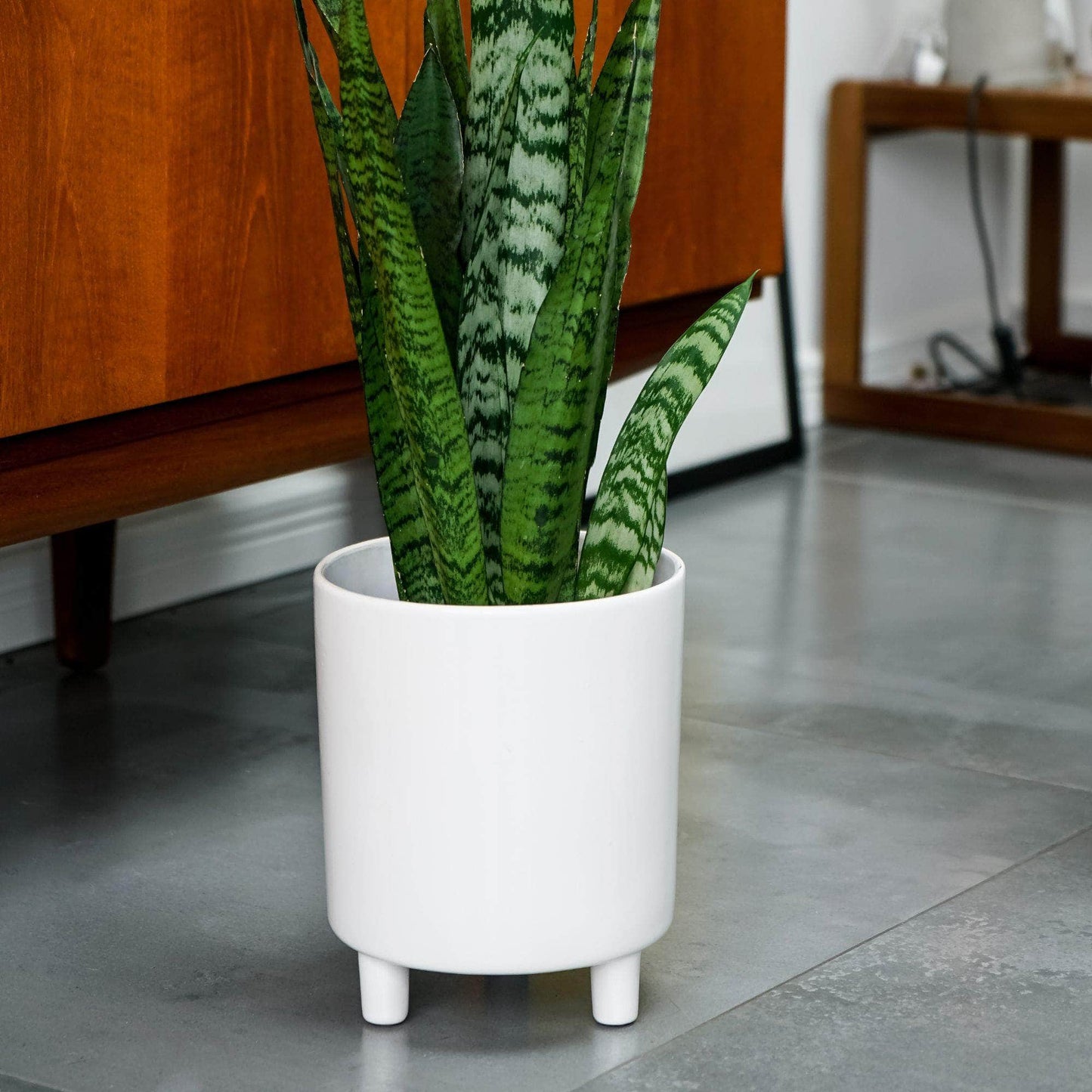 Pisa White Planter